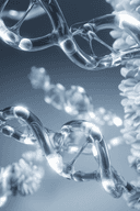 Hyaluronidase