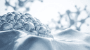 Lipase