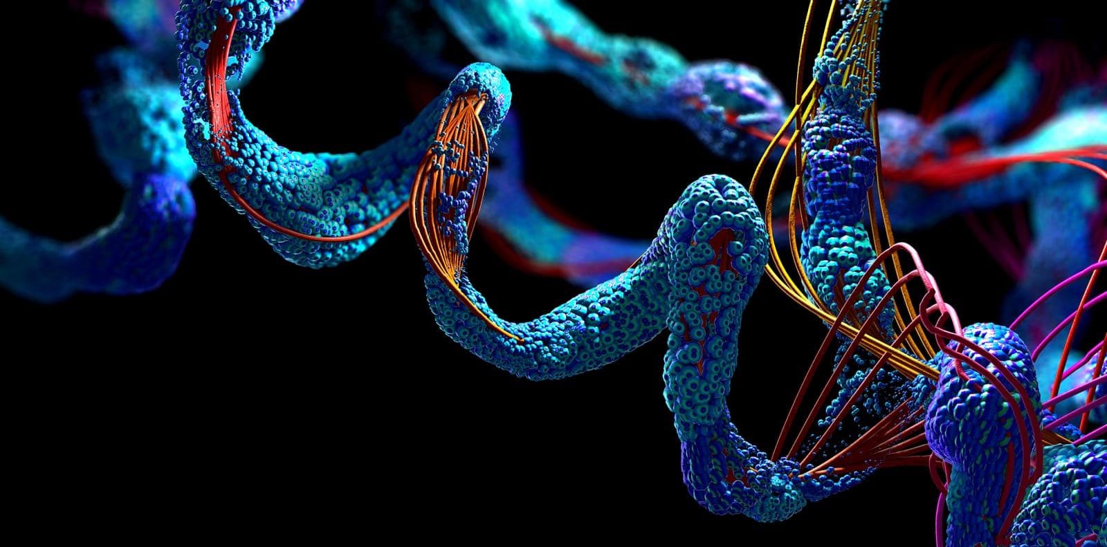 3D rendering of a protein chain — the enzyme itself is a protein whose shape determines its ability to cleave specific sugar bonds
